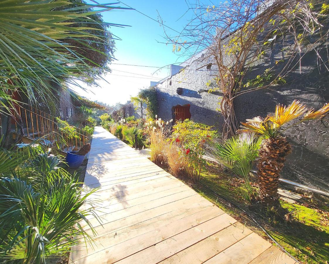 Bandol - Residence Premium Jardin, Piscine Et Garage 外观 照片